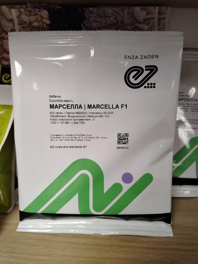 семена кабачка Марселла