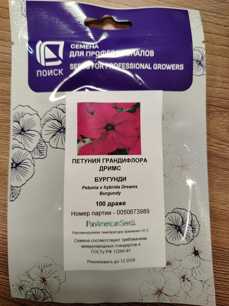 Петуния грандифлора дримс бургунди